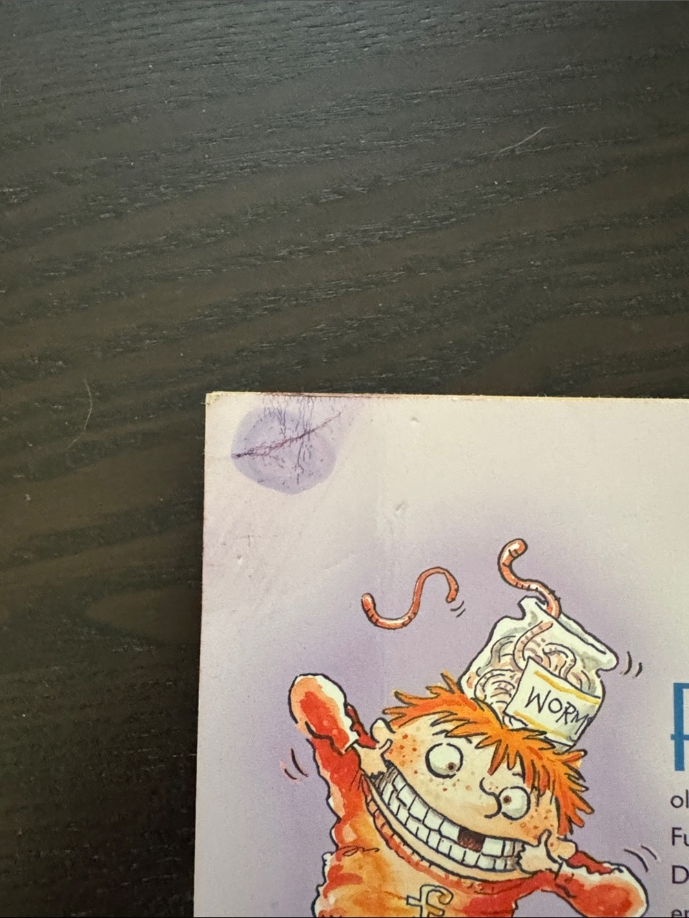 Judy Blume Superfudge - Picture 4 of 5